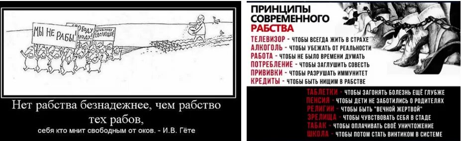 Как кодекс объясняет понятие свобода и рабство. Принципы современного рабства. фразы про рабов. современное рабство. свобода это рабство.