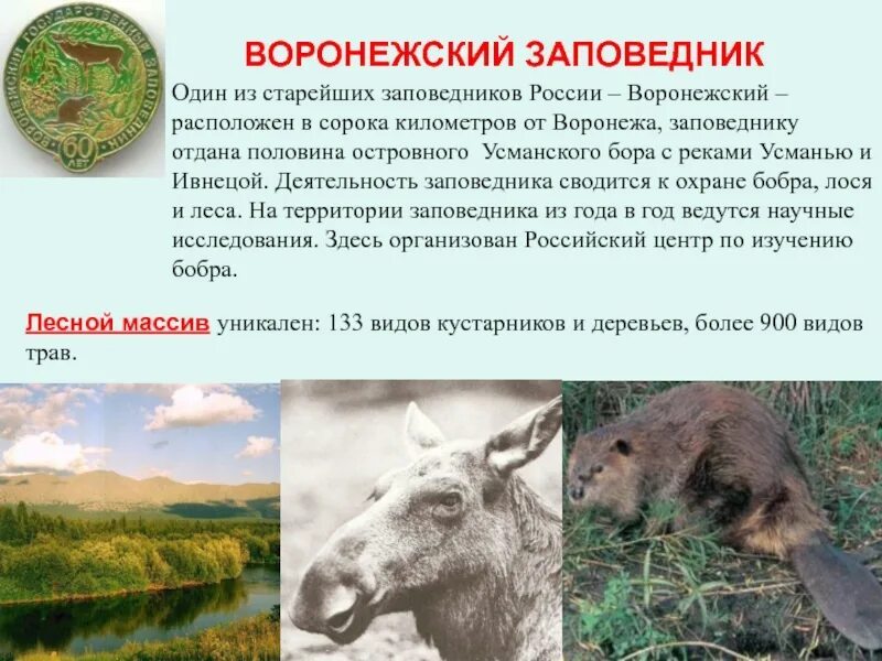 Проект по окружающему миру 4 класс заповедники Места заповедные в России школьному библиотекарю, презентации
