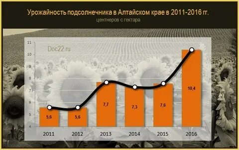 Урожайность подсолнечника