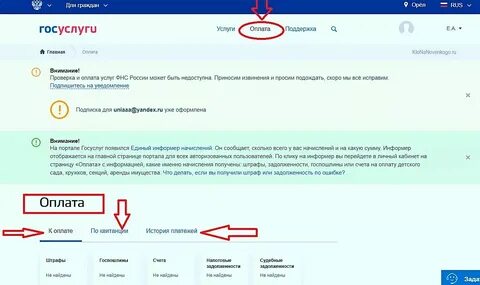 Что можно оплатить через госуслуги