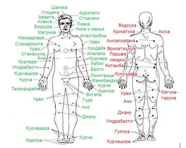 Названия точек человека. Болевые точки на теле человека для массажа. Точечный массаж точки на теле. Схема точек массаж. Точки на теле человека для массажа.