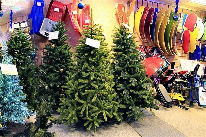 Елки южные ворота. Елки южные ворота. Южные ворота рынок парковка. Ооо южные ворота. Тк южные ворота москва.