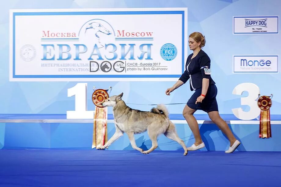 Моно выставка собак 2025. Выставка собак евразия. выставка собак баннер. стенд на выставке собак. выставка собак реклама.