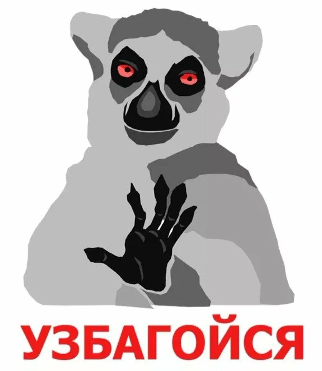Животное говорящее узбагойся. Лемур фото. Животное говорящее узбагойся. Узбагойся мем. Оля узбагойся.