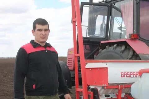 Погода в карловка пугачевский рп5