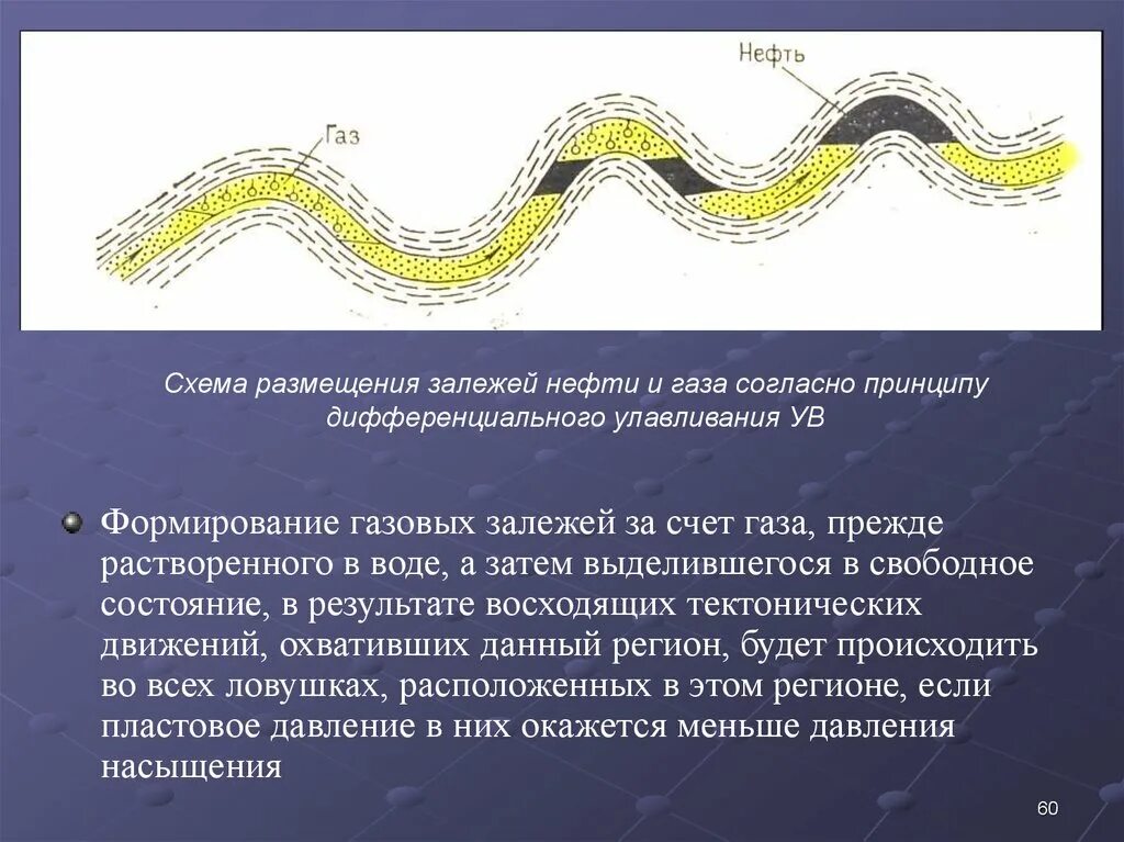 Формирование нефти и газа. Принцип дифференциального улавливания флюидов. Залежей нефти и газа. Формирование залежей. Формирование залежей нефти и газа.