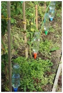 Из бутылки сделать капельный полив