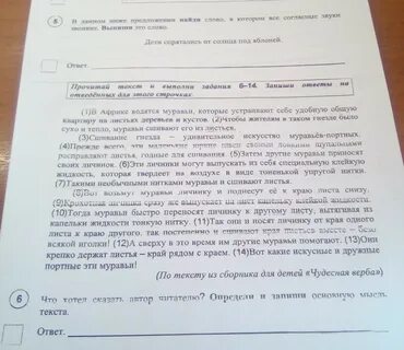 Определить основную мысль текста гнездо