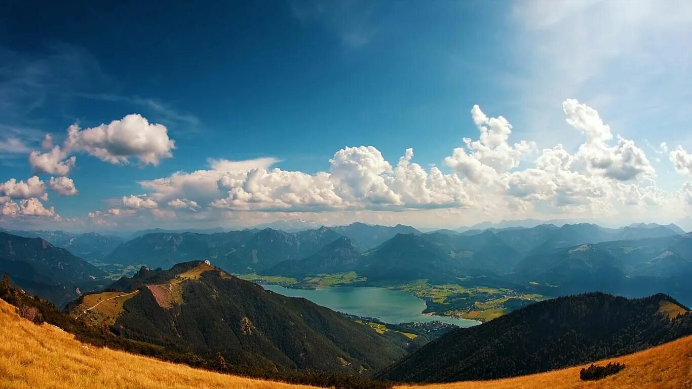 Сайт bing image. Bing картинки. обои на рабочий стол bing. изображение дня bing. обои на рабочий стол от бинг.