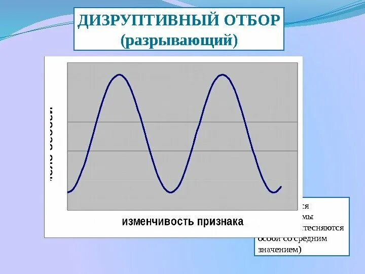 Какие признаки характеризуют движущую форму естественного отбора. Движущий стабилизирующий дизруптивный отбор. дизруптивный естественный отбор. дизруптивная форма естественного отбора. естественный отбор дизруптивный отбор.