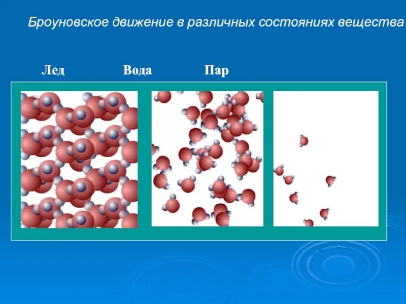 Броуновское движение. Броуновское движение примеры. Модель броуновского движения. Хаотичное броуновское движение. Броуновское движение в воде