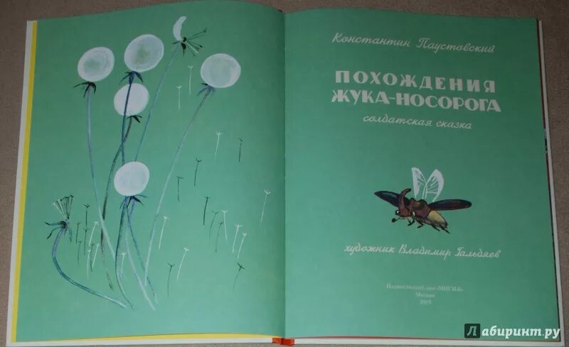 Сказка о жуке носороге паустовский. Паустовский похождения жука носорога. Иллюстрации к книге похождения жука носорога. Похождение жука носорога иллюстрации. Похождения жука-носорога книга.