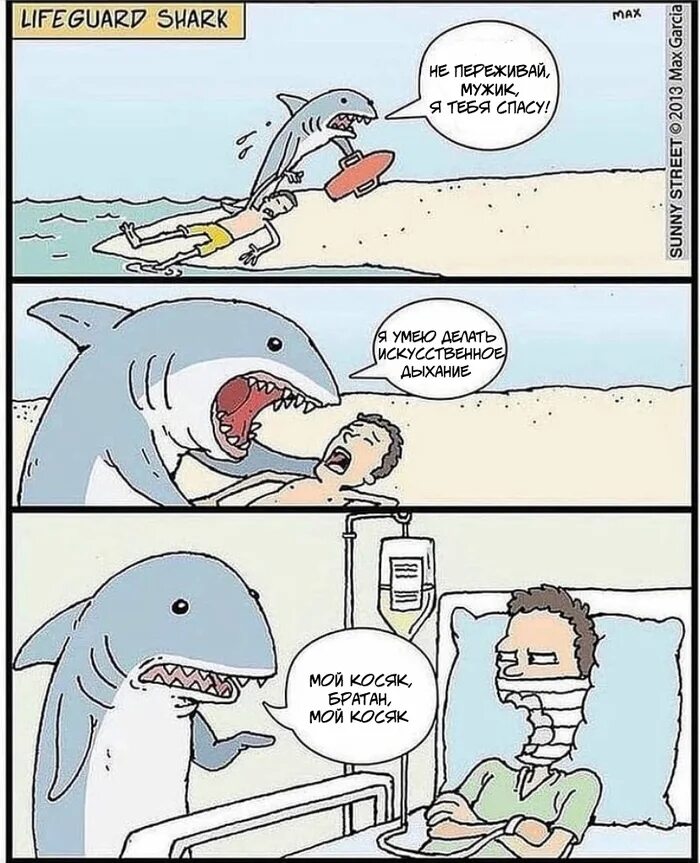 Акула мем. Китовая акула и аквалангисты. Акула спасатель. Акула спасатель. Жизнь дайверов.
