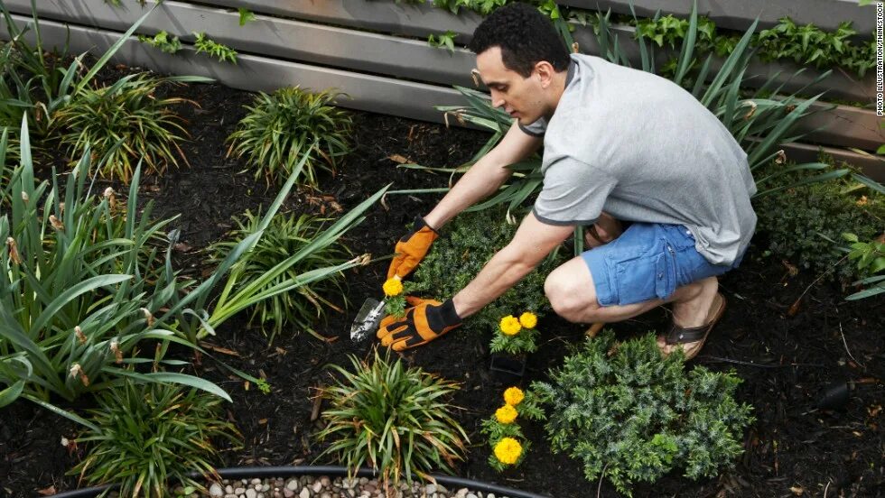 Do you do gardening. Дэн пирсон ландшафтный дизайнер. doing the gardening.