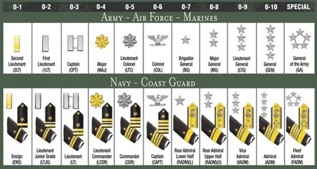 Cutty ranks тема. Звания в армии США. Военные звания США. Ранги в американской армии. Воинские звания США.