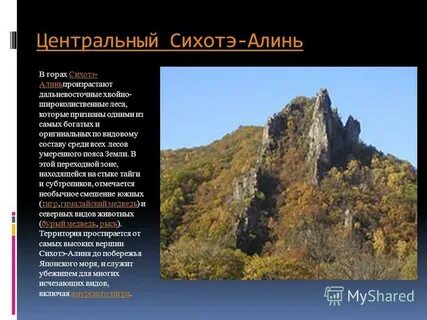 Горы сихотэ алинь эпоха