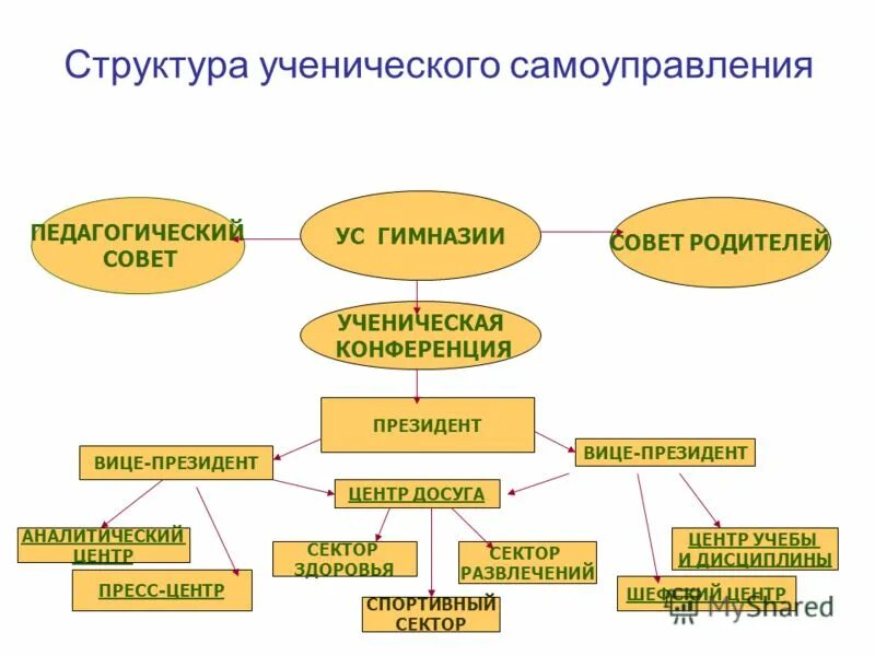 Направления деятельности самоуправления