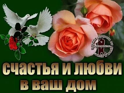 Любви добра процветания