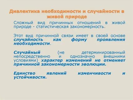 Философия случайного