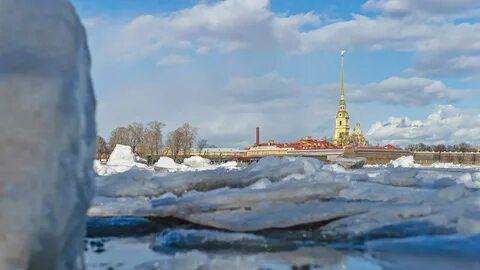 Температура невы сегодня