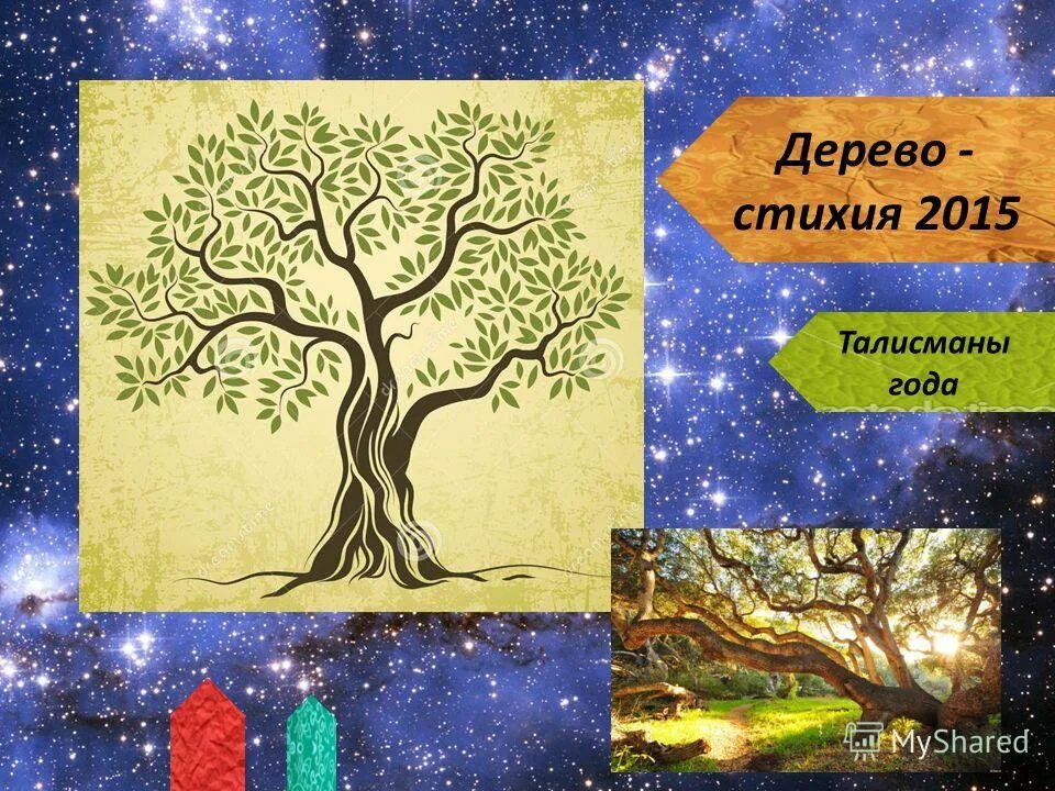 женщина дерево. стихия земли.