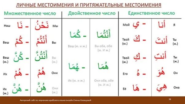 Арабский язык является