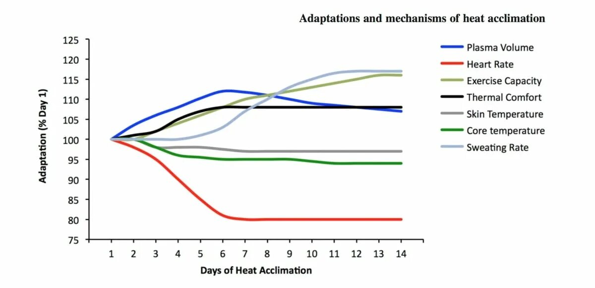Run a temperature