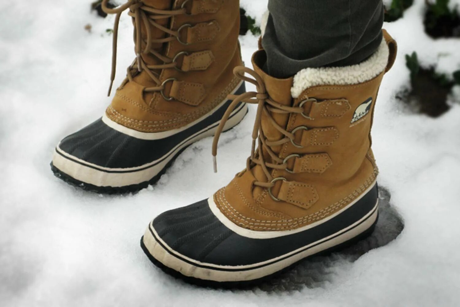 Сайт зимней обуви. Канадские зимние ботинки Sorel. Sorel Caribou женские валенки. Зимние ботинки Скандинавия Sorel. Зимние ботинки Sorel женские.