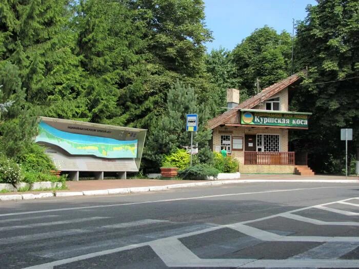 Карта национального парка куршская коса. Въезд на куршскую косу. Куршская коса национальный парк. Визит центр куршская коса. Куршская коса маршрут королевский бор.