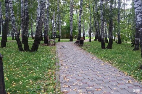 Березовая роща дмитровское