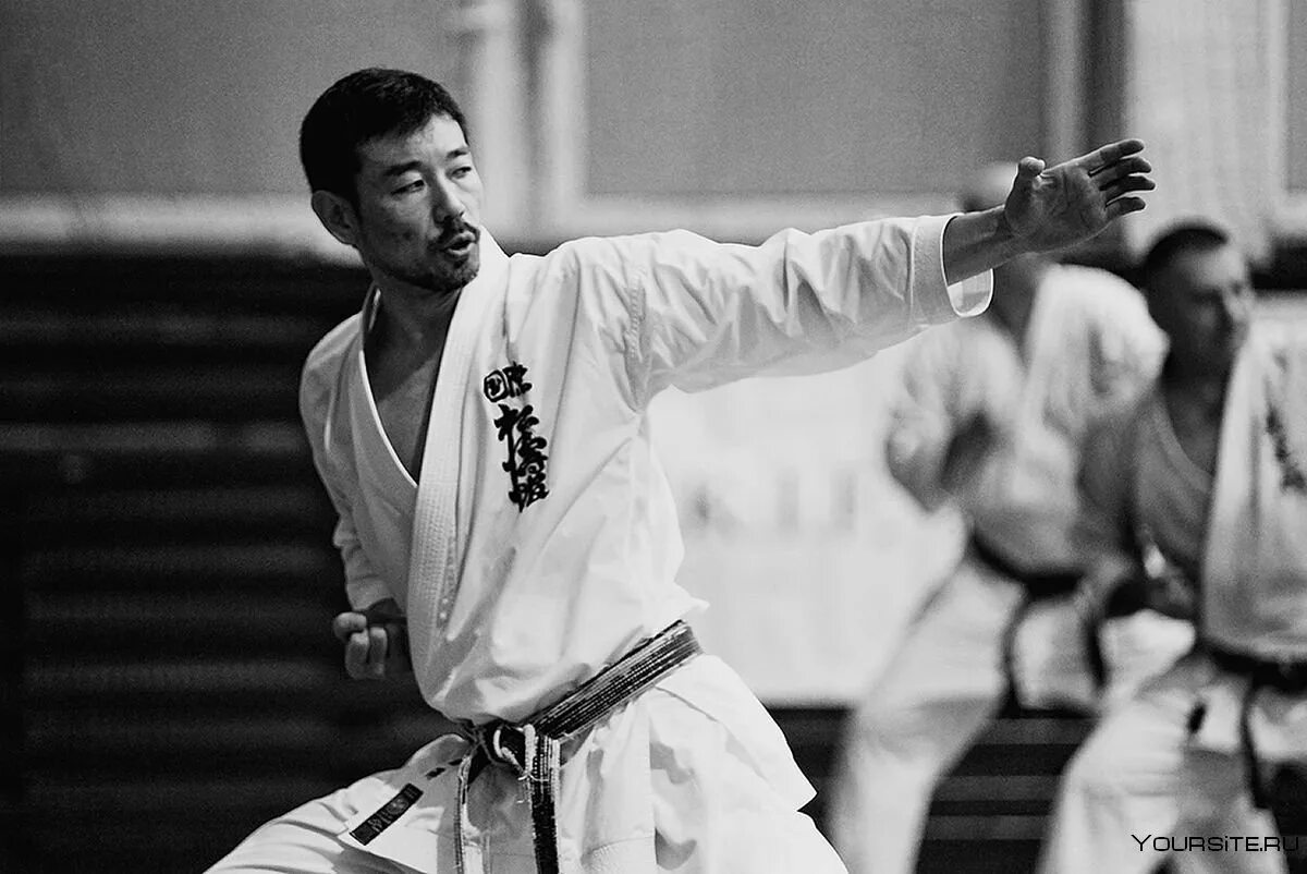 Киокусинкай каратэ турнир. Год в карате. Год в карате. Тхэквондо дети. Плиева александра каратэ.