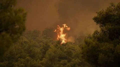 Fires were started