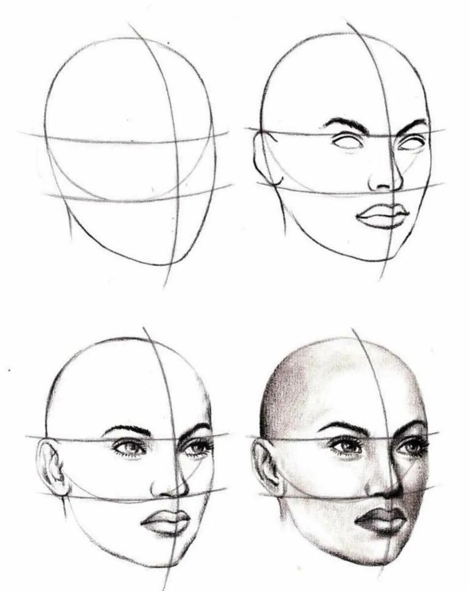 Рисунок лица 1 3. Портрет техника Эндрю Лумиса. Портрет анфас карандашом. Уроки рисования лица. Рисование головы.