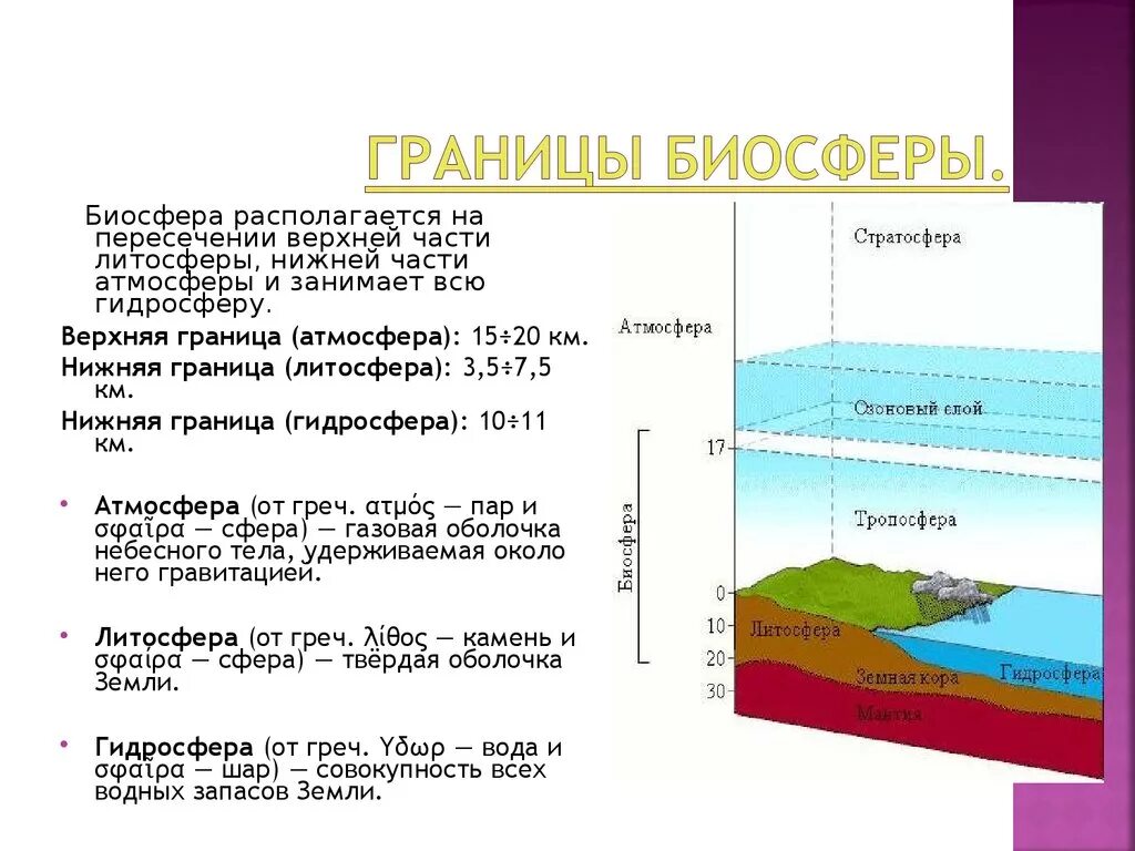 Какая оболочка земли полностью. Биосфера – оболочка земли. Границы биосферы.. Границы биосферы атмосфера гидросфера литосфера таблица. Атмосфера гидросфера литосфера Биосфера таблица. Биосфера оболочки земли таблица.