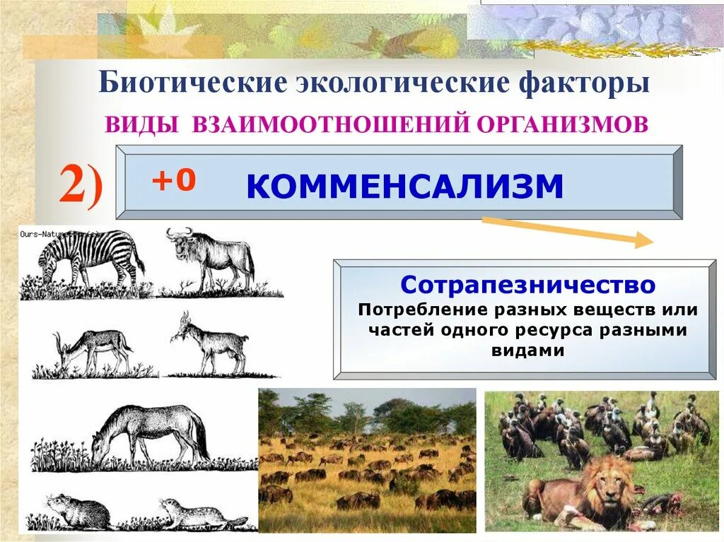 Какие изменения биотических