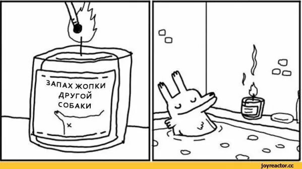 Ароматизированные свечи. Чувствуешь запах свечей. Названия запахов свечей. Кожа и древесина свеча. Ароматерапия свечи.