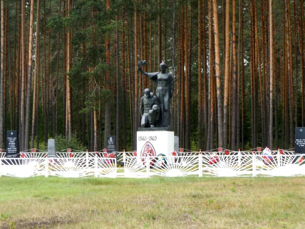 Новгородская область контакте пестово. Братское кладбище Пестово. Город Пестово Пестовский район. Пестово воинское кладбище. Г Пестово Новгородской области.