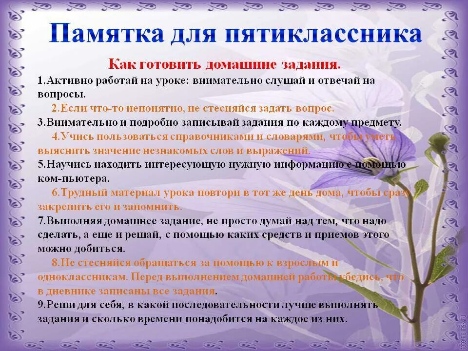 Написать ученик какой должен написать. Советы пятиклассникам. Советы психолога ученикам 5 класса. Рекомендации для родителей пятиклассников. Советы психолога пятиклассникам.