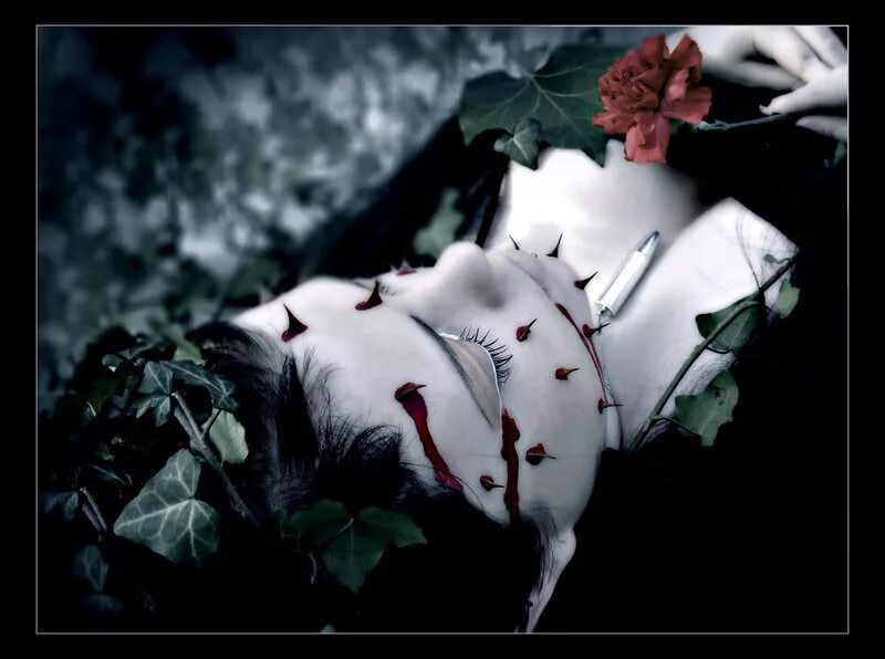 Умирающие розы песня. Мертвые цветы.