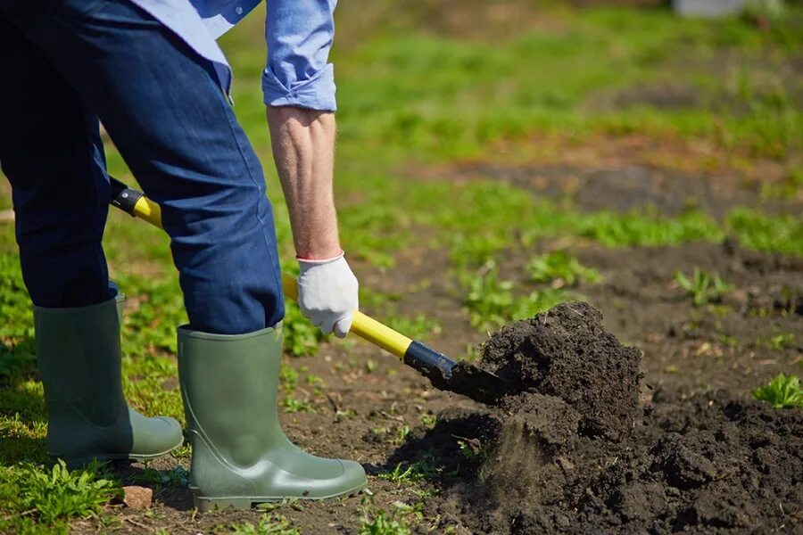 Можно ли перекапывать землю. Копка огорода. Лопата для копки огорода. Копать огород. Копать землю.