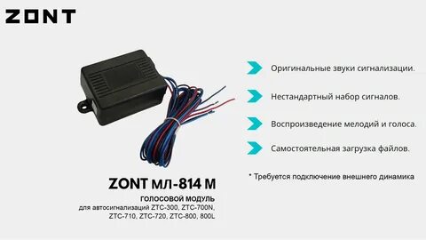Звук сигнализации с голосом