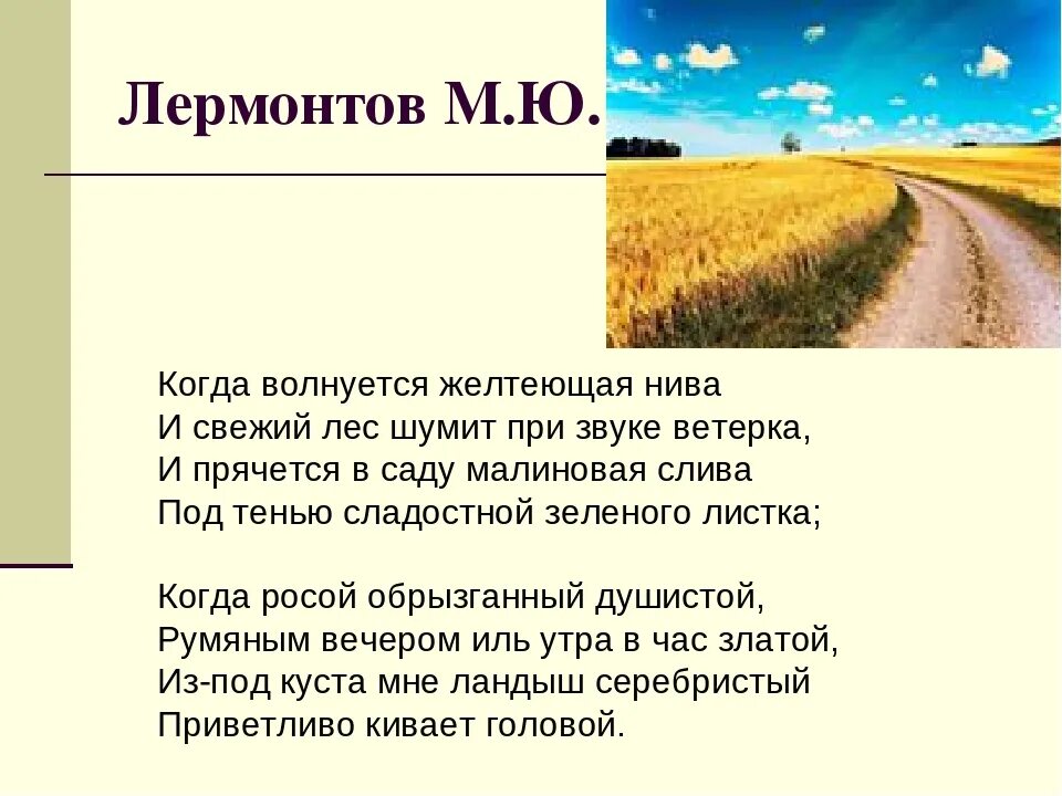 Стихотворение желтеющая нива анализ. М.Ю.Лермонтова "когда волнуется желтеющая Нива...". Жёлтая Нива Лермонтов. Стих Лермонтова желтеющая Нива. Стихотворение Лермонтова когда волнуется желтеющая Нива.