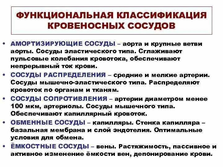 Типы кровеносных сосудов таблица Наличие клапанов в капиллярах Telegraph