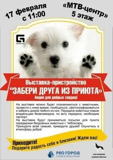 Право на жизнь чебоксары приют