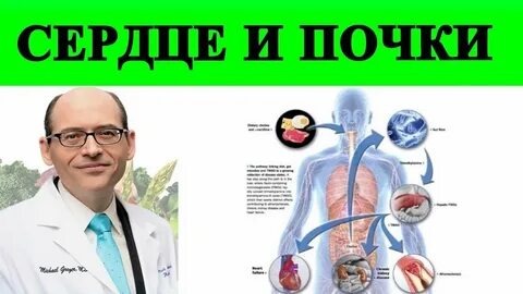 От сердца и почек