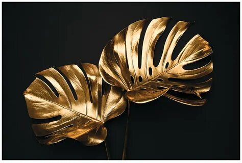 Gold monstera leaf