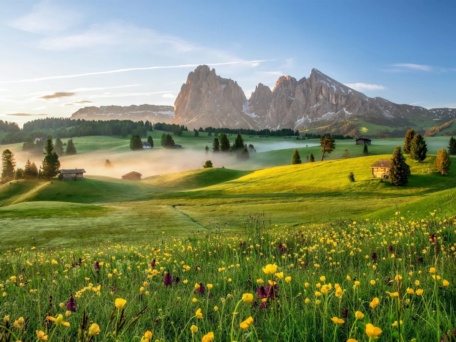 Альпийские луга альпы. Земля горы равнины дагестана. Альпийские луга новая зеландия. Алазанская долина гора предгорье равнина. Пейзажи природы.