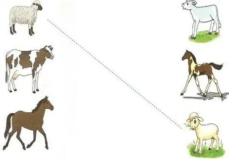 Клиторальды қақпақты хирургиялық кесу