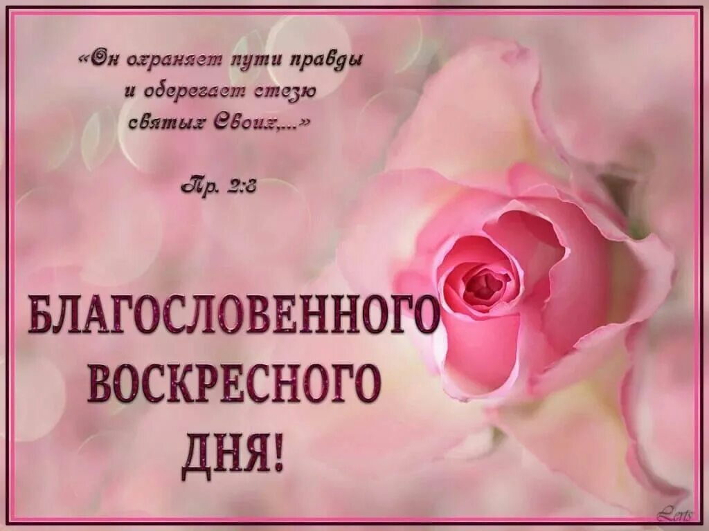 Благосклонного дня. С воскресным днем правомлааре. с воскресным днём православные. с воскресным днём православные открытки. благословенного воскресного дня.