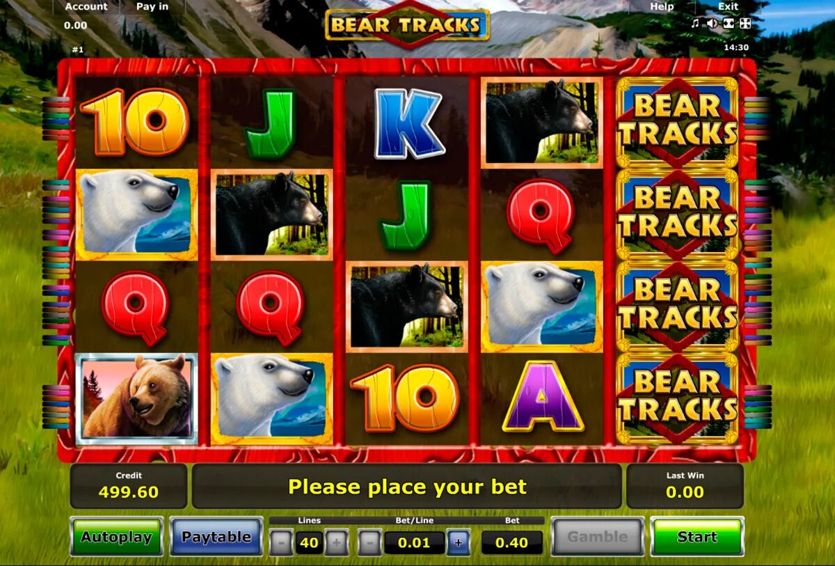 Bear track. Bear tracks. track casino. казино мишки. slot the white wolf.